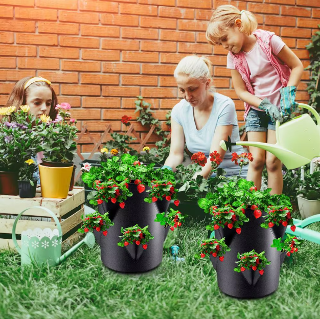 Braškėms sodinti skirtas maišas