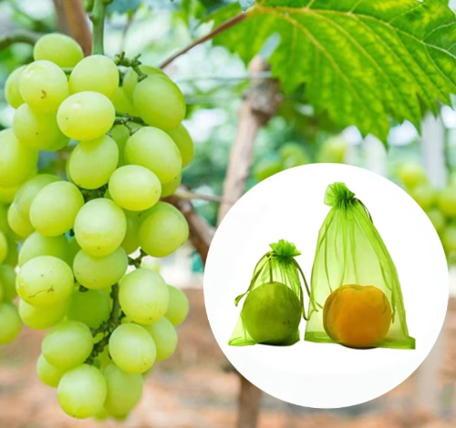 100 vnt. 15x20 cm vaisių apsauginių maišelių