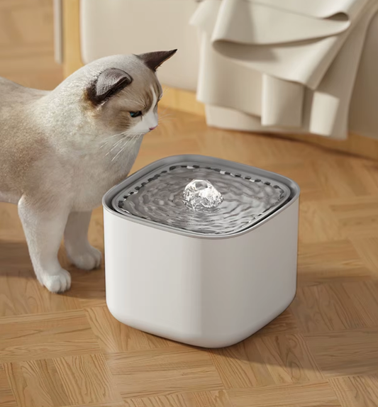 3L automatinė katės gertuvė su filtru