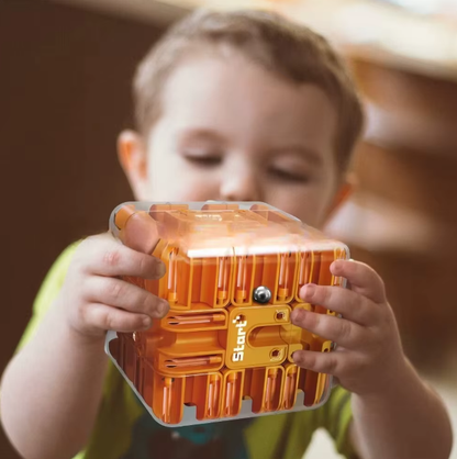 3D Magiškas Labirinto Kubas