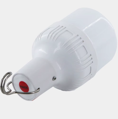 30W avarinė LED lempa