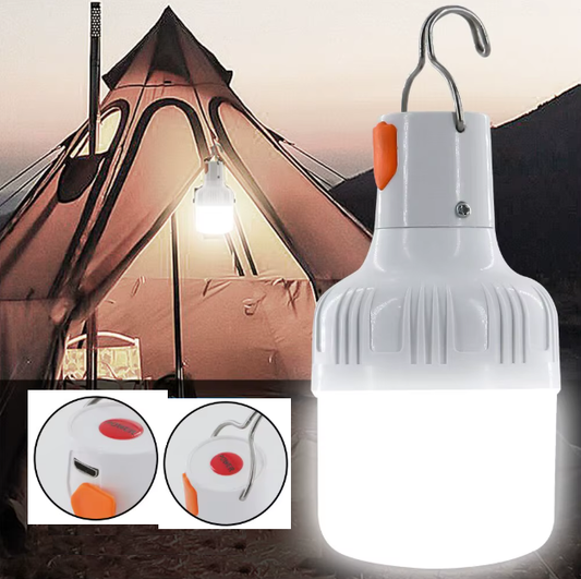 30W avarinė LED lempa