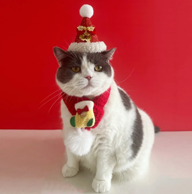 Kalėdinis megztas šalikėlis augintiniui